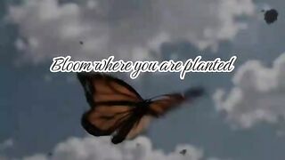 Nature video 25