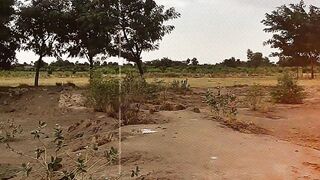 Pleasant weather 2