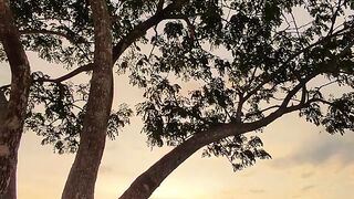 Sunset 95
