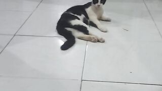 Nikmat'y santai malam