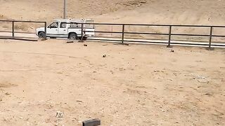 هناقر