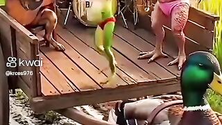 Bora dançar forró kkkkk