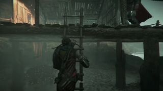 A Plague Tale Requiem 250