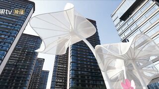 Blossom through the Cloud EP15---《雲端綻放》第15集