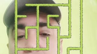 Sheep to grass challenge