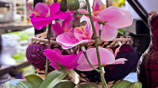 Decorative artificial flowers with pot