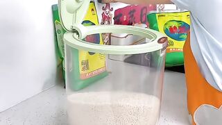 Rice and lentils container