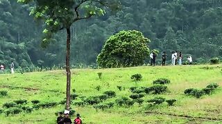 কখনো এসেছিলেন এই জায়গায়?