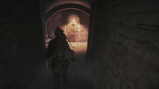 A Plague Tale Requiem 444