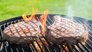 GOOD FOOD 15300