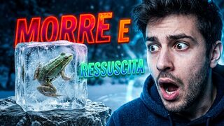 Essa Rã Congela até o Coração Parar — E Continua Viva!!