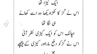 Iqbal Mustafa abbasi 3