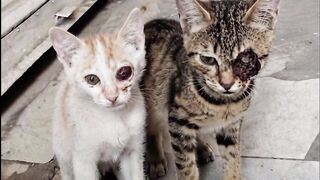 Help Save These Little Lives — Your Donation Can Give Them Hope ❤️