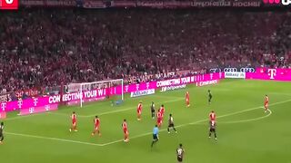 crazy muenchen 7-0