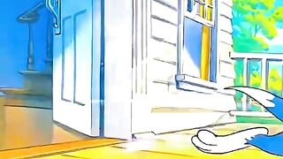 Tom e Jerry 11