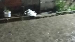 Boa noite gente muita chuva em nossa terra abençoada