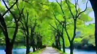 Life is a gift 2
