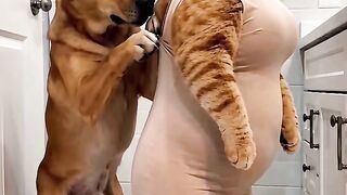 Cão do amor 😍