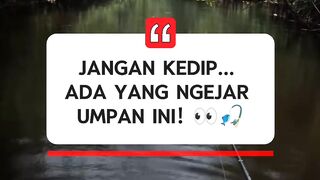 Liat apa yang didapat pria ini ☠️⁉️