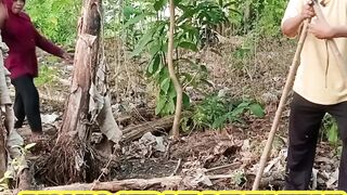 Pisang mau ditokong, malah dipotong ibu negara