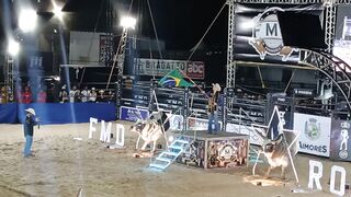 Falcon do Rodeio Banderas Brsileira
