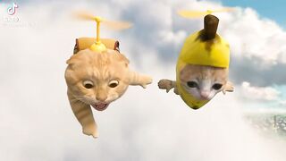 Animasi kartun lucu 2
