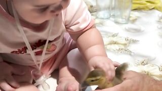 Cute and playfull