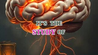 The psychology 2