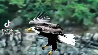 Tik Tok Video 275