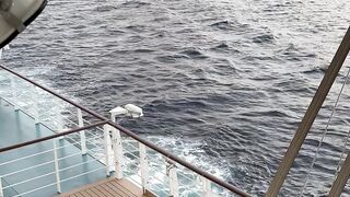How is the behavior of the ocean?