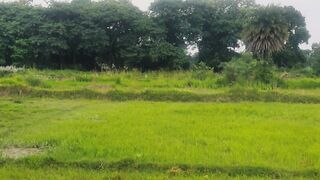 Beautiful nature in village area