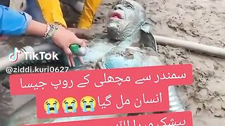 ziddi kuri