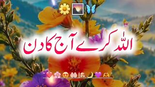 Nice vedio 51