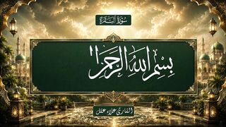 القارئ علاء عقل