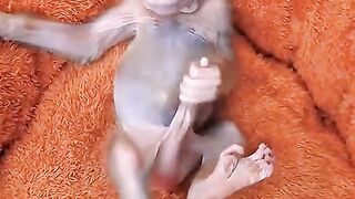 Monkey 42