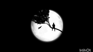 Nocturne 2