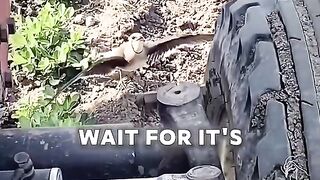 A Farmer Kindness For A Bird
