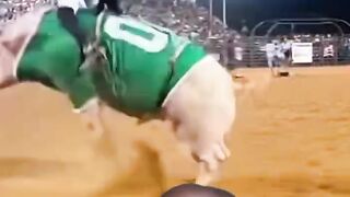 Bizarre News #BizarreNews #Viral