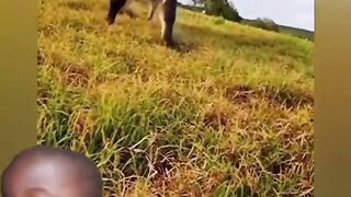 Bizarre News #BizarreNews #Viral