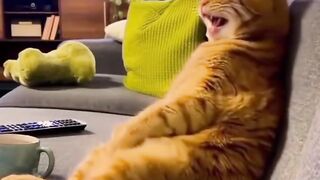 Kunci lucu saat ketawa