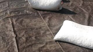 “From Coffee Harvest to Cup: The Journey of Coffee Processing”
