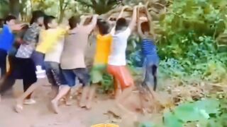 😂 Tree Play Gone Wrong! One Kid Takes an Unexpected Dive! 🌳🤣
