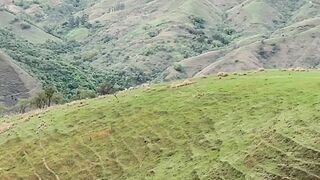 Morar nas montanhas é paz sossego e ar puro