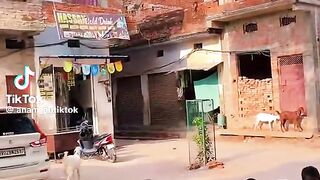 Old man village 2