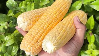Stop Boiling Corn! Do THIS Instead For Maximum Flavor 🌽🔥 | Ultra Luxus Club