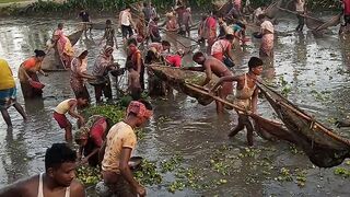 Traditional Fishing and Power Tiller Farming in Bangladesh