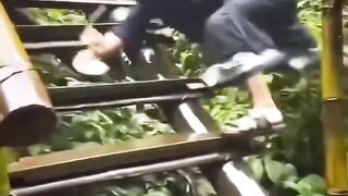 funny videos 474