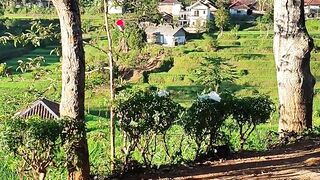 Pov when you live in a village