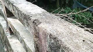 Traditional Fishing in Bangladesh Village | Amazing Catching Fish by Net 🎣🌾