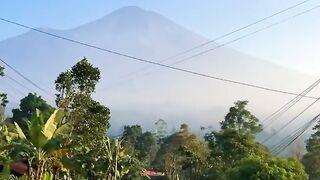 Wonderful indonesian